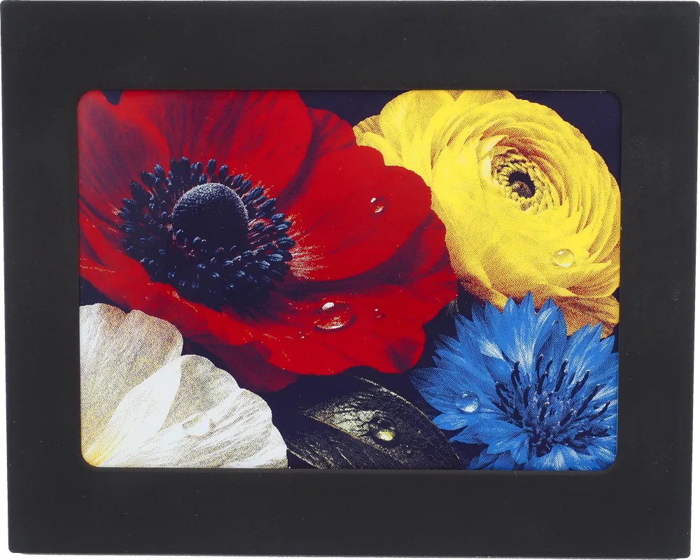 Real Peekpal prototype displaying colorful flowers